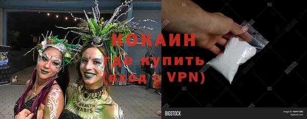 сатива Новозыбков