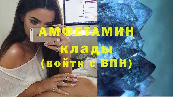 СК Алексин