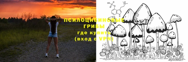не бодяженный Алзамай