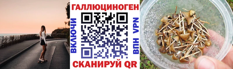 Псилоцибиновые грибы прущие грибы  Чапаевск 