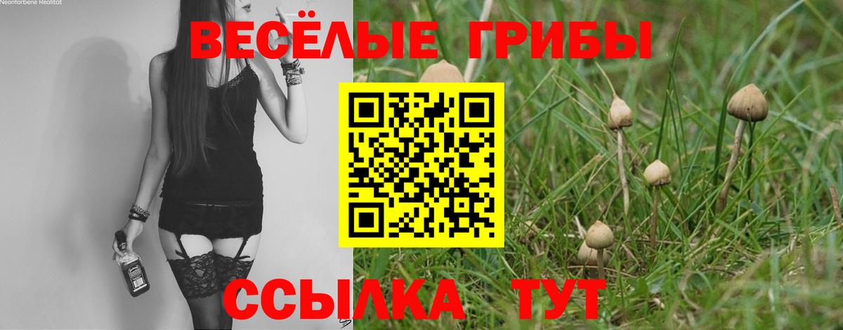 Галлюциногенные грибы мицелий Чапаевск